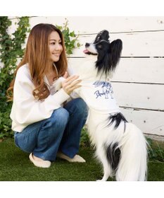 PET PARADISE ペットパラダイス Mai Kuraki ベニート パーカー 《ホワイト》 小型犬