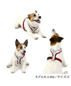 PET PARADISE ディズニー アクティブハーネス 【３Ｓ】 小型犬