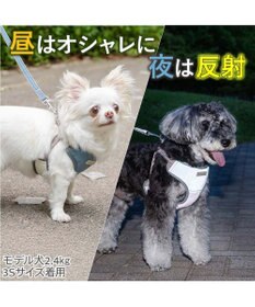 PET PARADISE ペットパラダイス 超反射 切り替え ハーネス＆リード Ｓ 《ブルーグリーン》