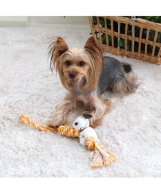 PET PARADISE スヌーピー しがみつき トイ