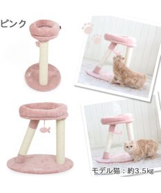 猫 キャットタワー 55cm スリム / PET PARADISE | 【通販】雑貨