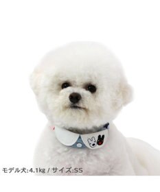 PET PARADISE リサとガスパール  襟付き首輪  《であい柄》ＳＳ 小型犬