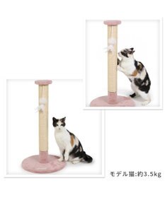 PET PARADISE 猫 つめとぎ タワー 66cm