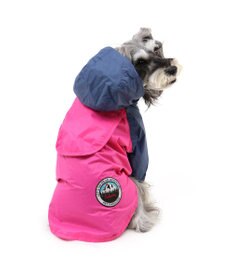 予約受付中】 WATER DOG GARDEN 犬服(中型犬) 赤×紺 犬服