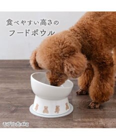 PET PARADISE ペットパラダイス 高さのある フードボウル 《テディ柄》 小型犬