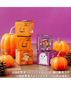 PET PARADISE ハロウィン おばけＢＯＸ ミックスボーロ
