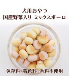 PET PARADISE ハロウィン おばけＢＯＸ ミックスボーロ