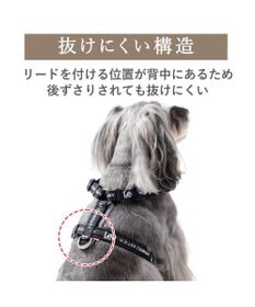 PET PARADISE Lee ロゴアクティブ ハーネス ３Ｓ