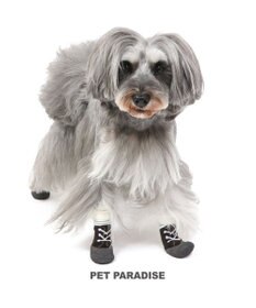 PET PARADISE 犬 靴 靴下 フィットシューズ 【Ｓ】 グリーン ブラウン
