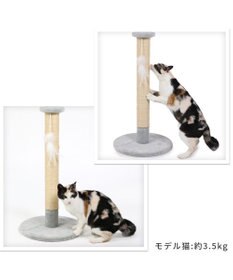 PET PARADISE 猫 つめとぎ タワー 66cm