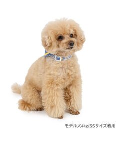 PET PARADISE ディズニー ドナルドダック セーラー付き首輪 ３Ｓ