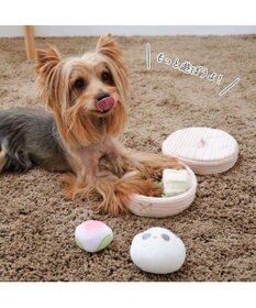 PET PARADISE ペットパラダイス ヤムチャ ノーズワークトイ