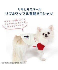 PET PARADISE 犬の服 犬 リサとガスパール 背中開き Ｔシャツ 【小型犬】 リブ