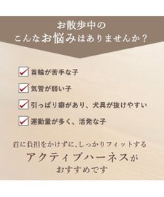 PET PARADISE リサとガスパール アクティブハーネス 《三角柄》 Ｓ 小型犬