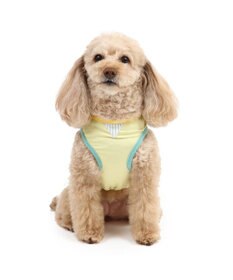 PET PARADISE スヌーピー エコメイド タンクトップ 《パフェ柄》 小型犬