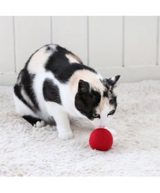 PET PARADISE ペットパラダイス 猫 羊毛 ボール 【単品】