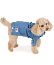 PET PARADISE J.PRESS デニムジャケット 春 小型犬