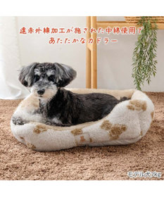 PET PARADISE ペットパラダイス くまちゃん 織り遠赤外線 四角 カドラー  M