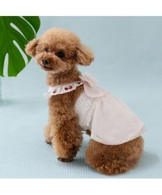 PET PARADISE ペットパラダイス エコメッシュ ワンピース 《苺刺繍》 小型犬