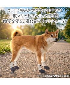 PET PARADISE ペットパラダイス バレエ スリット シューズ  Ｍ