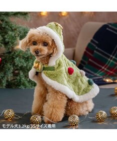 PET PARADISE ペットパラダイス ツリー ポンチョ 2026 小型犬