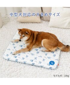 PET PARADISE ディズニー スティッチ もちっと クールマット