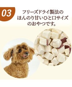 PET PARADISE ペットパラダイス フリーズドライ さつまいも