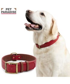 PET PARADISE ペットパラダイス ソフトレザー首輪 《ブルックレッド》 Ｍ