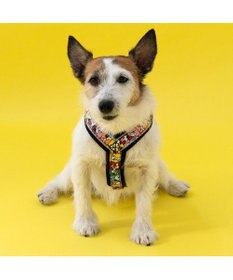 PET PARADISE スヌーピー 75周年 アクティブ ハーネス 小型犬 SS