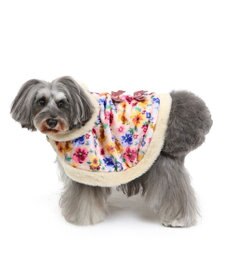 PET PARADISE ディズニー レディ ポンチョ わんわん物語 小型犬