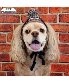 PET PARADISE ペットパラダイス ボンボン付き 男の子 ニット 帽子 中型犬 ＳＭ～Ｍ
