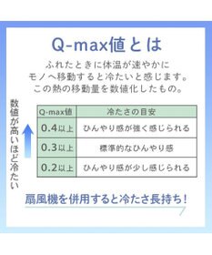 PET PARADISE ミニオン もちっと クール ブランケット 《おすわり柄》