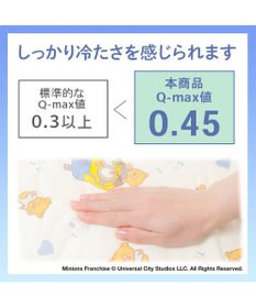 PET PARADISE ミニオン もちっと クール ブランケット 《おすわり柄》