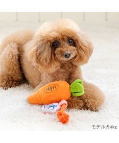 PET PARADISE ディズニー ズートピア にんじんペン トイ