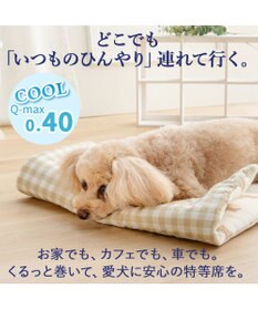 PET PARADISE ディズニー ミニーマウス クール ロールマット 《ハート》