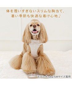 PET PARADISE ペットパラダイス くまちゃん 襟付き スリム ハーネス＆リード ＳＭ 中型犬