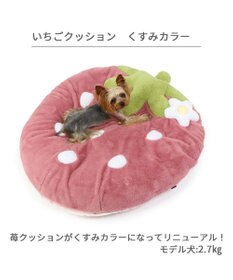 PET PARADISE ネット店限定 くすみ苺 クッション (90×92cm) 小型犬