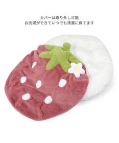 PET PARADISE ネット店限定 くすみ苺 クッション (90×92cm) 小型犬