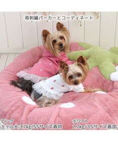 PET PARADISE ネット店限定 くすみ苺 クッション (90×92cm) 小型犬
