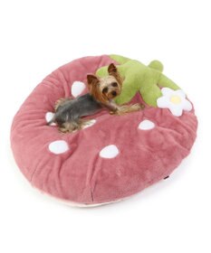 PET PARADISE ネット店限定 くすみ苺 クッション (90×92cm) 小型犬