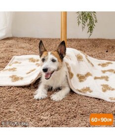 PET PARADISE ペットパラダイス くまちゃん織り ボア ブランケット