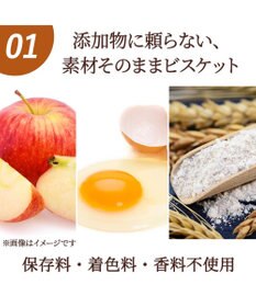 PET PARADISE ペットパラダイス 国産 りんご ビスケット 100g