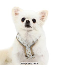 PET PARADISE ペットパラダイス くまちゃん アクティブハーネス 小型犬 S