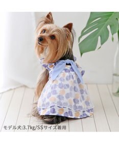 PET PARADISE ペットパラダイス エコメイド ワンピース 《貝柄 ブルー》 小型犬