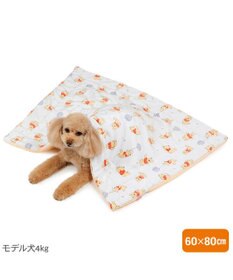 PET PARADISE ディズニー くまのプーさん あったかもちっと ブランケット