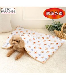 PET PARADISE ディズニー くまのプーさん あったかもちっと ブランケット