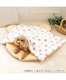 PET PARADISE ディズニー くまのプーさん あったかもちっと ブランケット