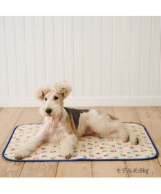 PET PARADISE スヌーピー makokoro 吸水マルチマット