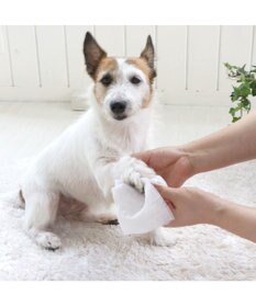 PET PARADISE エチケットクリーンシート