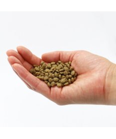 PET PARADISE ペットパラダイス  国産 ドッグフード ビオキッチン 3kg